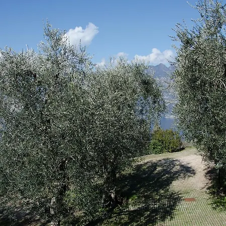 Baita Dei Colori - Ferienhaus -